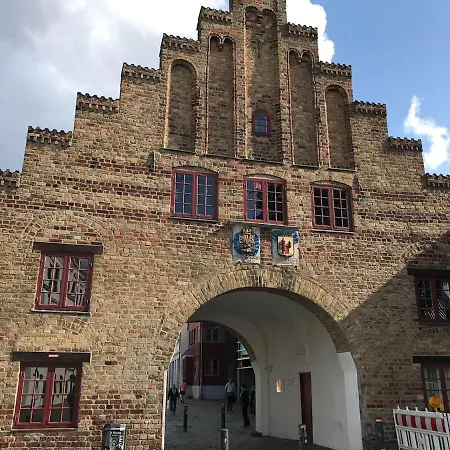 Kuschelmuschel Flensburg -